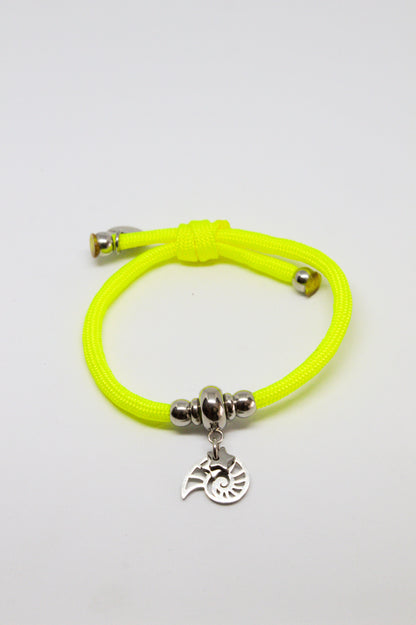 Pulsera kentia caracola