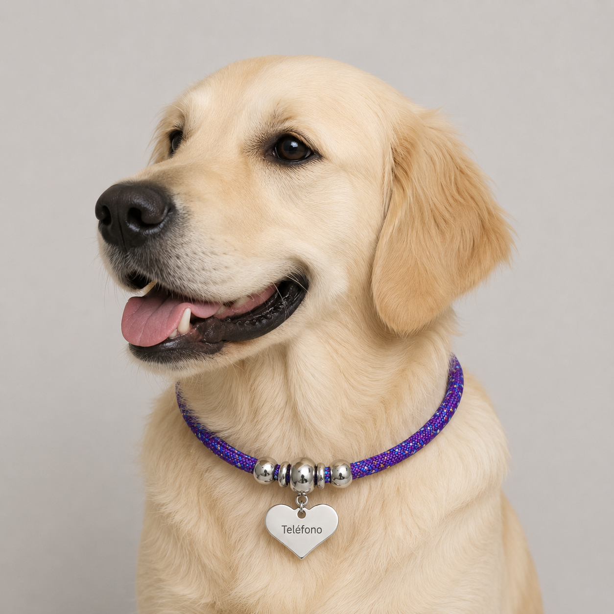 Collar para mascota