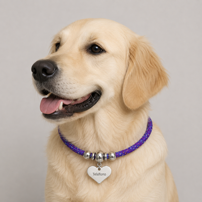 Collar para mascota